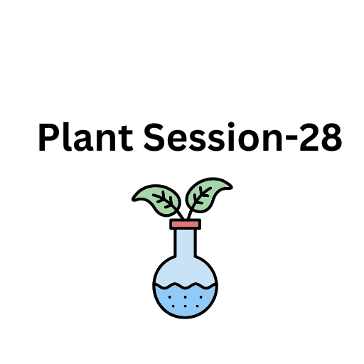 Plant Session-28